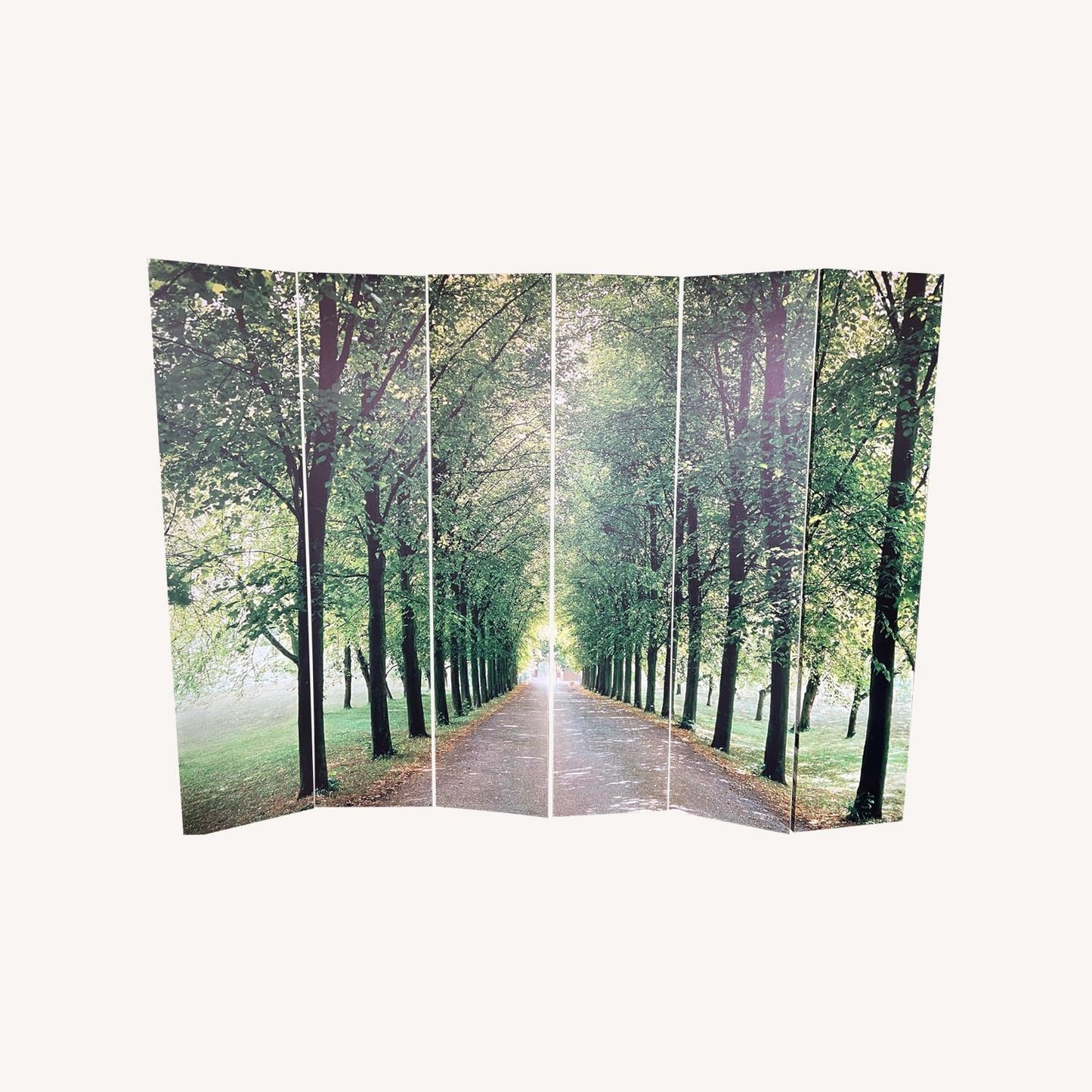 Two Sided Refreshing Room Dividers