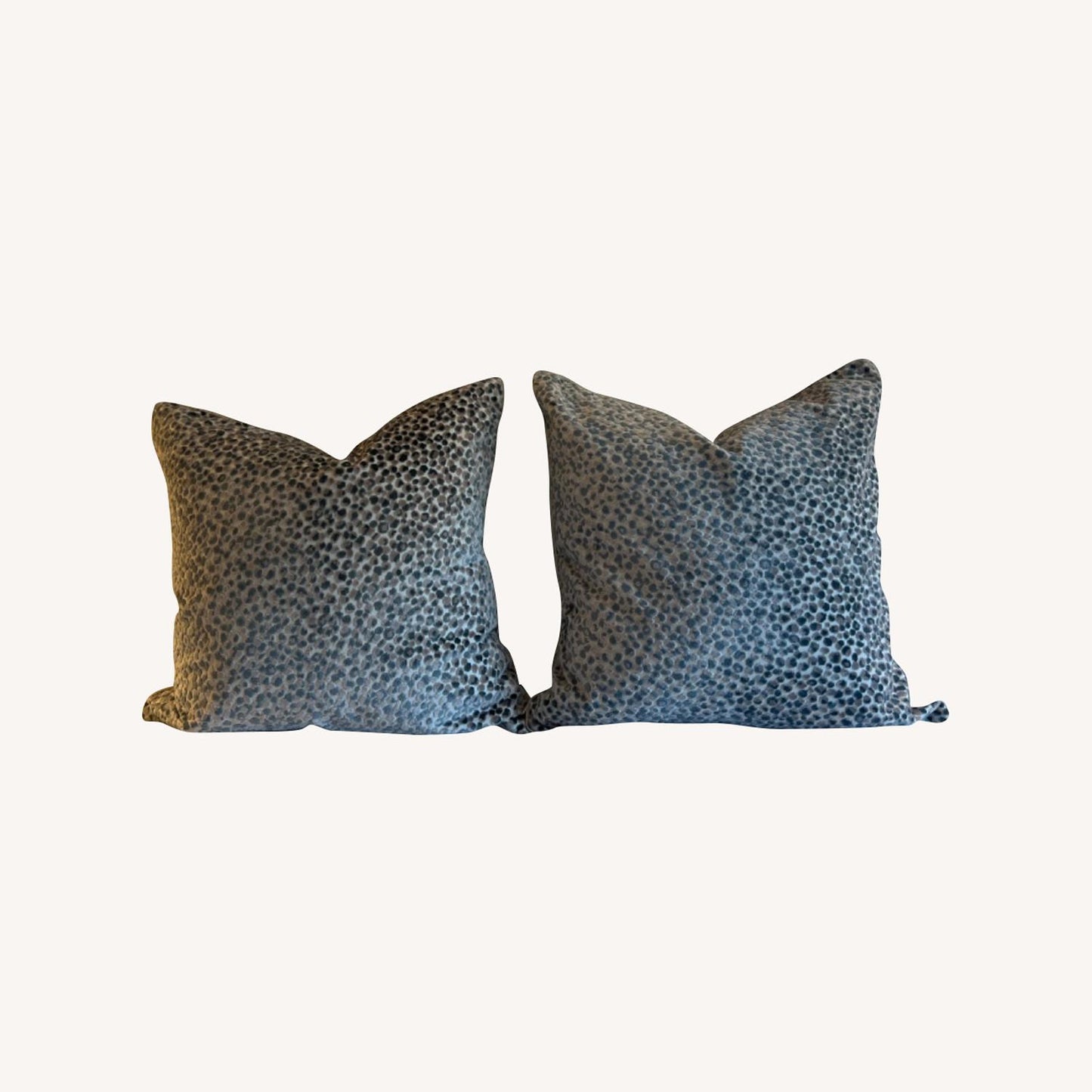 Other Pair Of Decorative Velvet Spotted Pillows