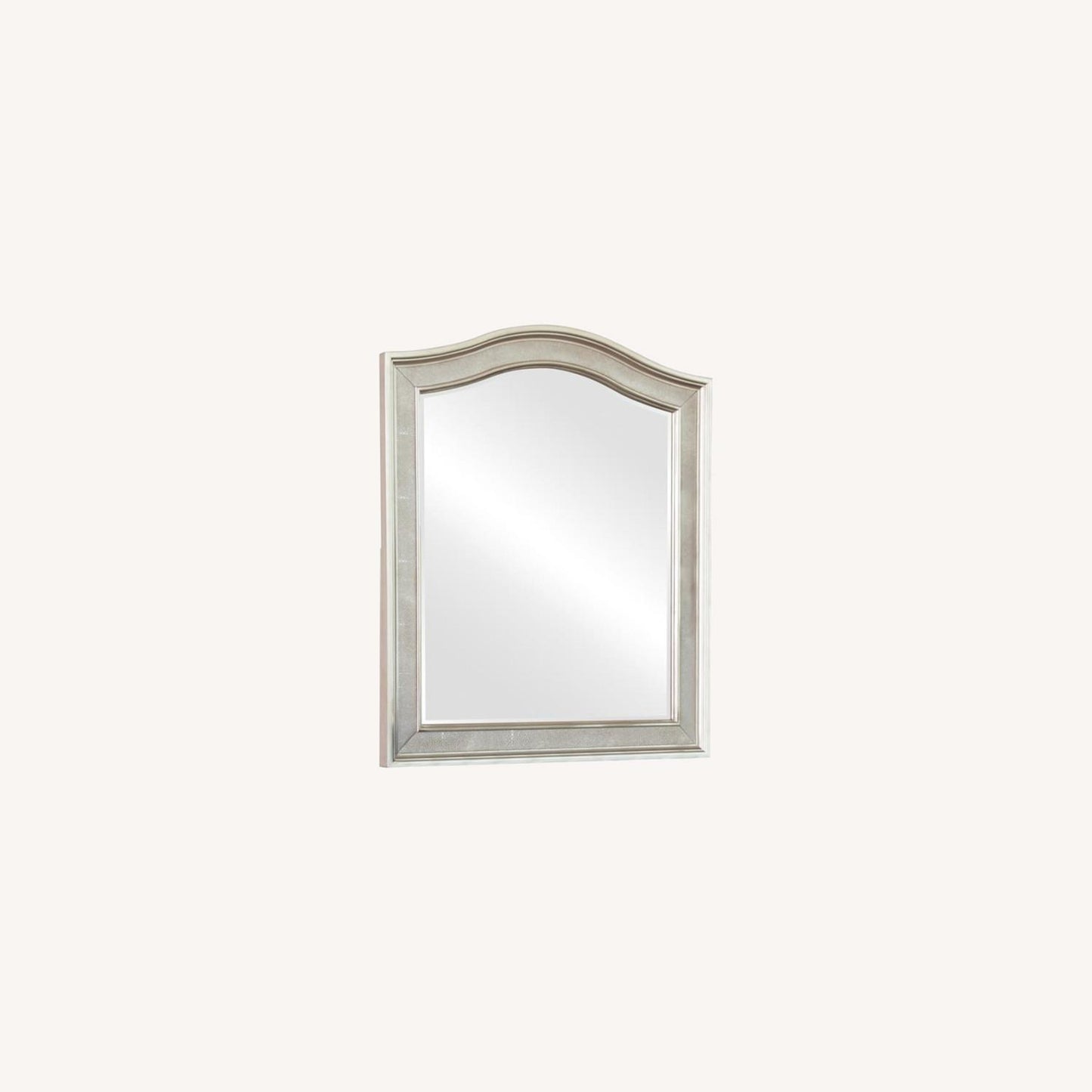 Other Vanity Mirror In Metallic Platinum Frame Finish