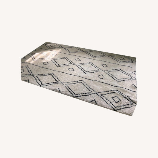  Pottery Barn Delaney Rug