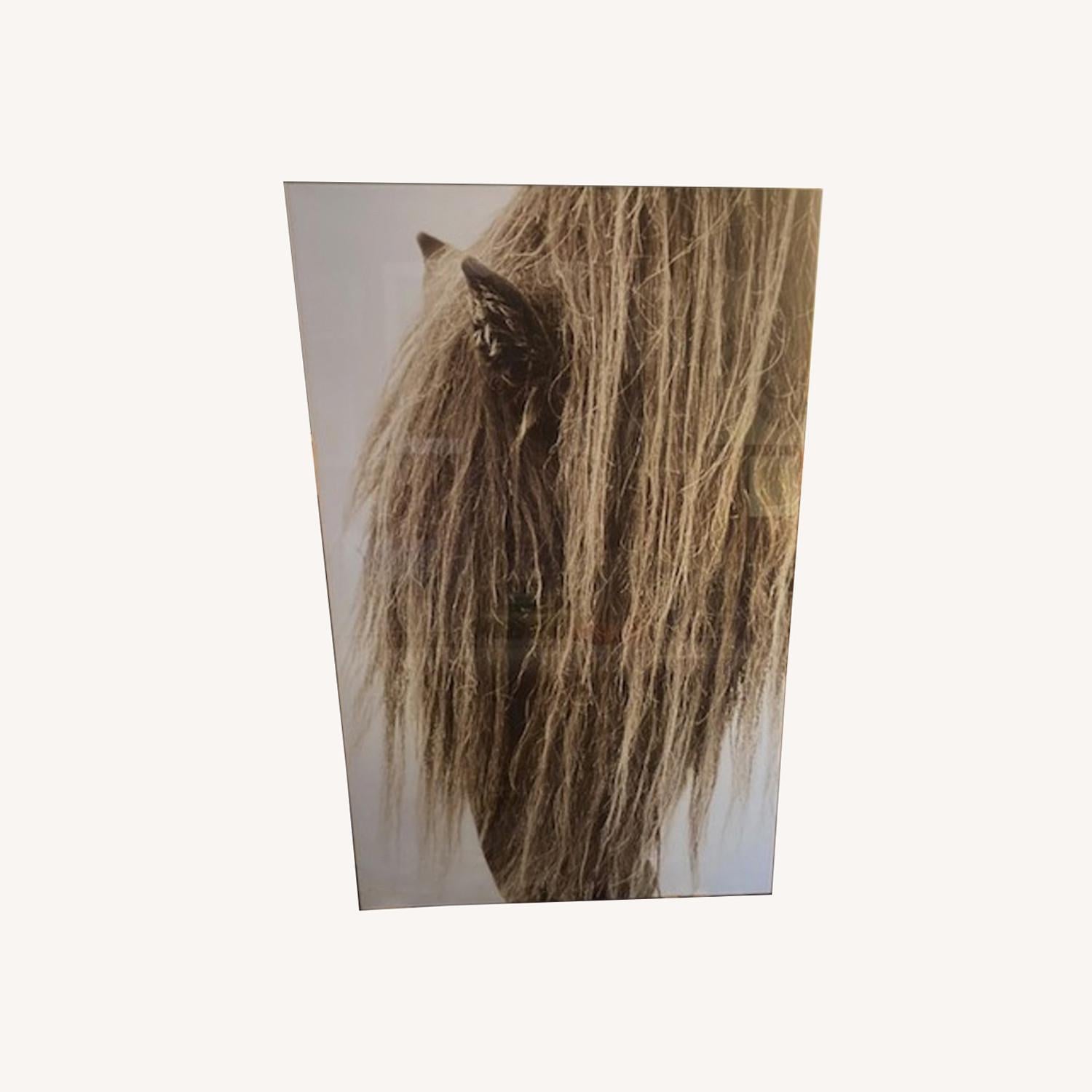 Other "Hair" Limited Edition Photograph, Roberto Dutesco